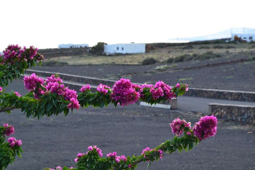 Apartamento La Finca Mácher Buitenkant foto
